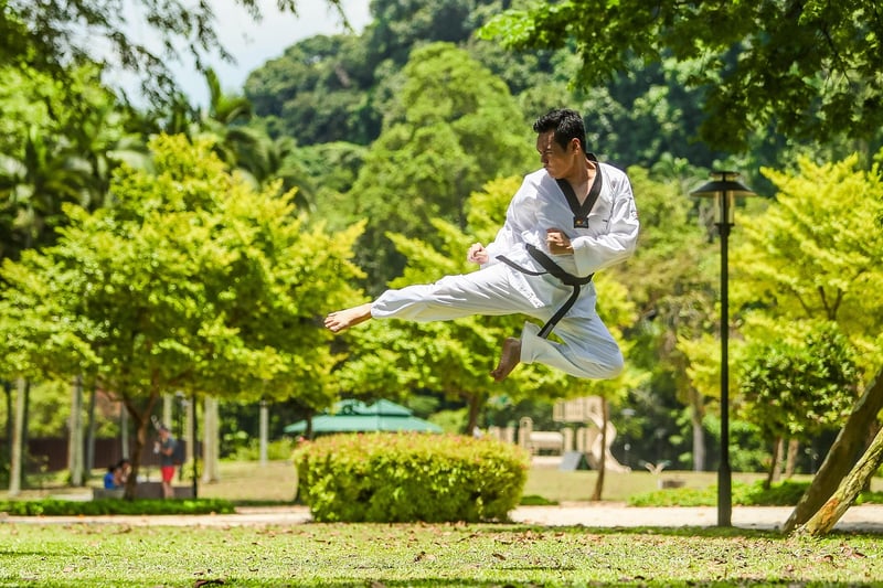Sun Style Tai Chi